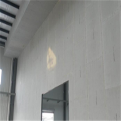 黑山宁波ALC板|EPS加气板隔墙与混凝土整浇联接的实验研讨